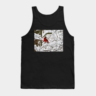 Winter Cardinal 3 Tank Top